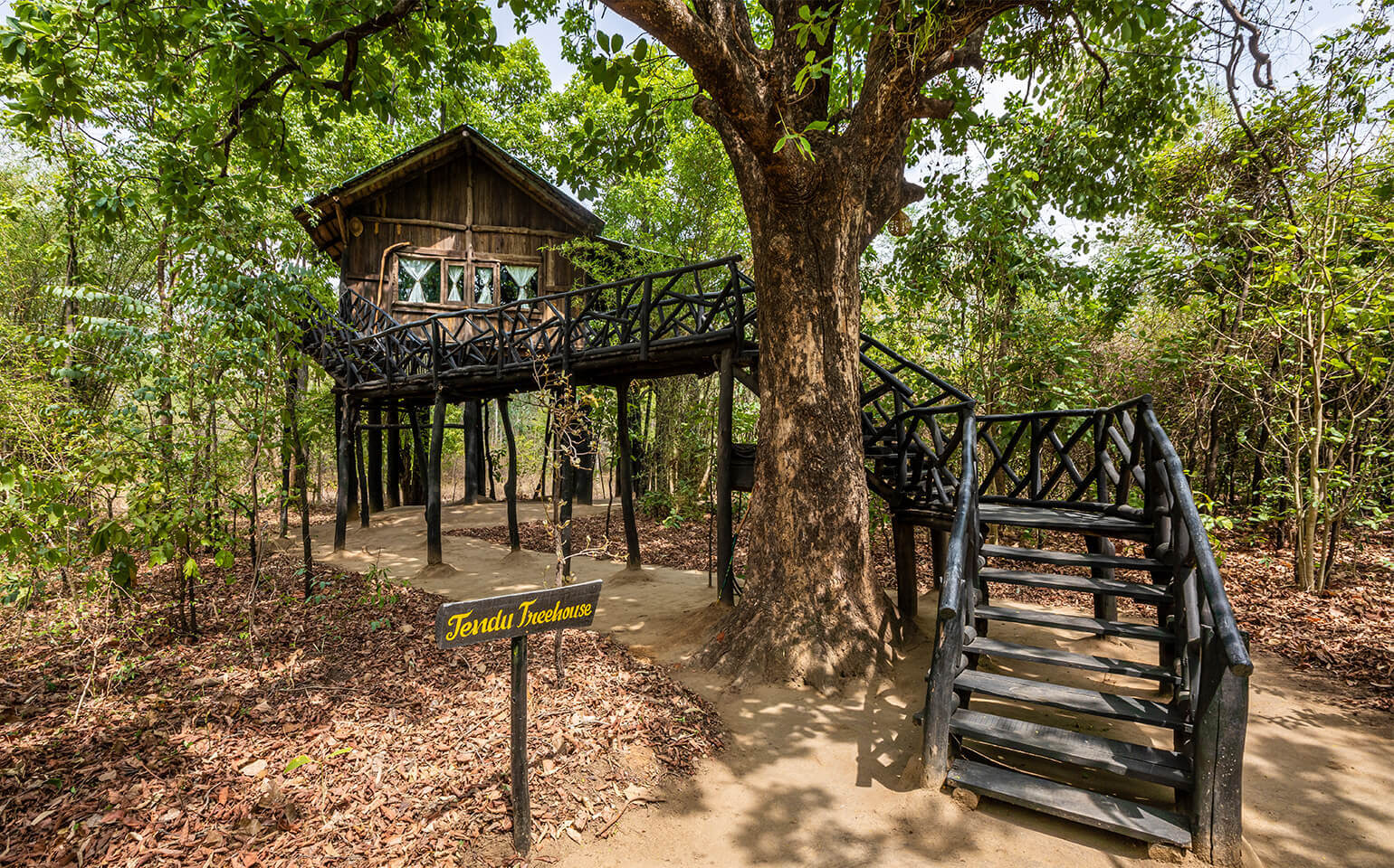 Tree House in Bandhavgarh