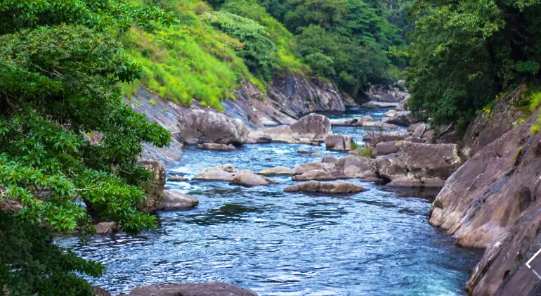 Silent Valley National Park, Kerala